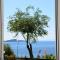 Mare Blu