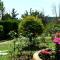 Villa Rose Garden