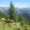 B&B Gottardo