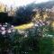 Villa Rose Garden