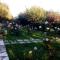 Villa Rose Garden