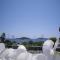 Ifigenia Hotel