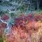 Nordkap Farm Holiday & Hostel - Bindslev