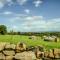 Swinton Bivouac