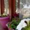 Guest House Olbina
