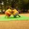 Camping Paradis dArvor