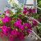 Apartments in Villa TOP TROGIR