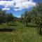 Domaine De Camp Joyeux photo 8