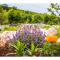 Charming Villa Katja with Private Pool and AC in All Rooms, Near Split