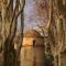 Château de Servanes photo 11