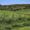 Martinshouse Holiday Cottage, Hawick, Borders