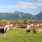 Ferienwohnung Allgäu - Füssen