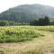 Domaine Regis Freres