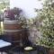 B&B Borgo Cortese