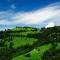 Winlu Vacation Farm