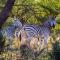Big Valley Game Lodge
