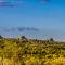 Big Valley Game Lodge