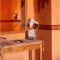 Guesthouse Patavali
