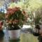 Kefallonia Bay Resort