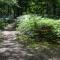 Camping Etang Vallier photo 23