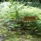 Camping Etang Vallier photo 11