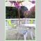 Apartman Tisno