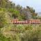 Agriturismo Le Agavi - San Mauro Cilento