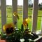 Foto: Andavine House - Bed & Breakfast 32/38