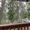 Bear Creek Cabin