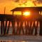 Tybee Escape
