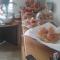 Jessamine House Hotel