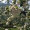 Mountain view Glamping - Dovje