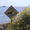 Molo Beach Apartments