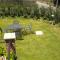 Garden B&B - Arezzo