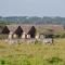 Lake Ndutu Luxury Tented Lodge