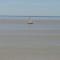 Entre Estuaire et Citadelle photo 23