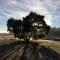 Grampians Pioneer Cottages
