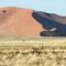 Sossusvlei Lodge - Sesriem