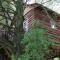 Sycamore Avenue Treehouses & Cottages Accommodation - Windy