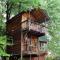 Sycamore Avenue Treehouses & Cottages Accommodation - Windy