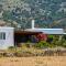 Villa Pergola Andros - Gavrion