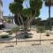 Themis Apartments