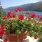 Apartments Alma - Rabac