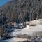 Chalet Caprea