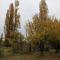 Aldea Amedo