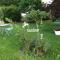 Le Bon Etage photo 14