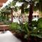 Oasis Palm Hotel