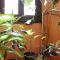 Hostal San Martin