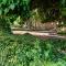 Ramat Rachel Resort
