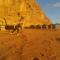 Bedouin Traditions Camp
